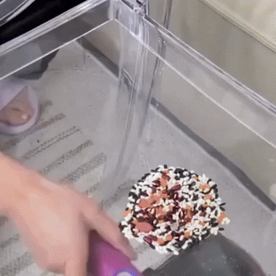 Aspirateur de Matelas Pour la Maison