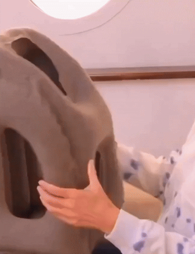 Oreiller_de_voyage_V.J