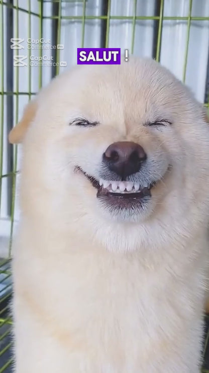 Blanchiment dentaire